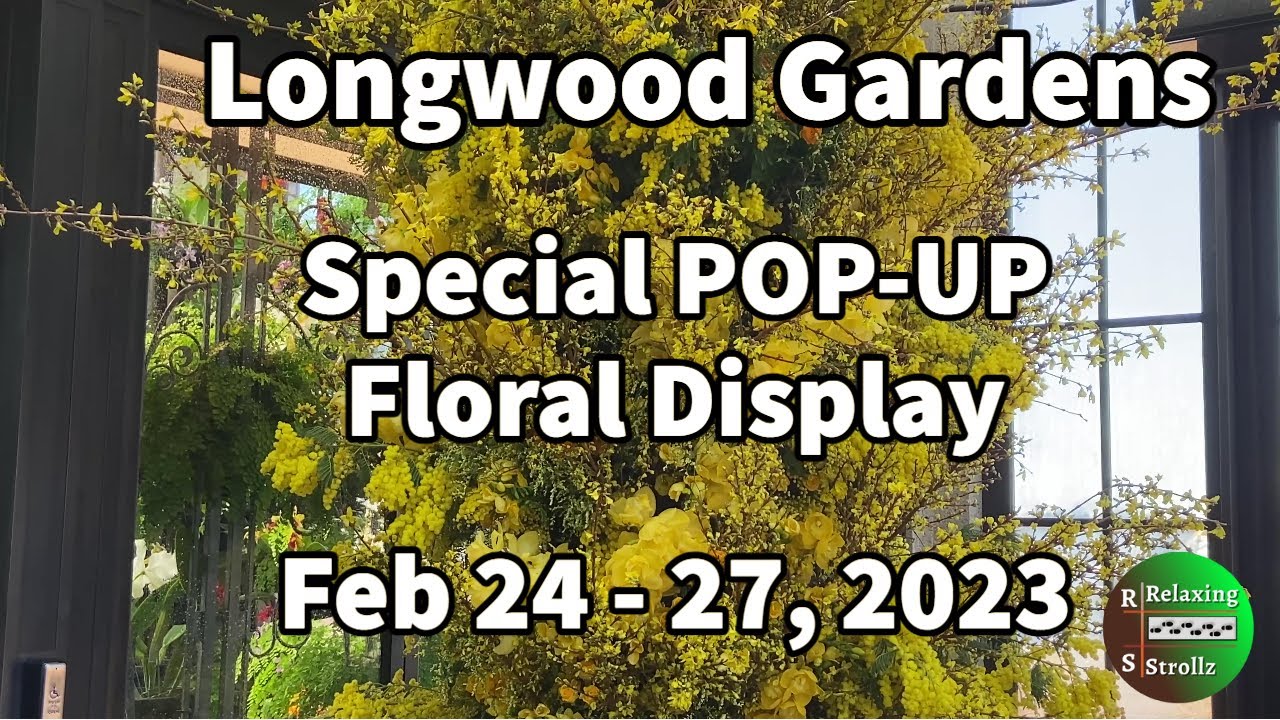 Longwood Gardens Special Pop-Up Floral Display 4K February 24-27, 2023 #popup  #botanicalgarden