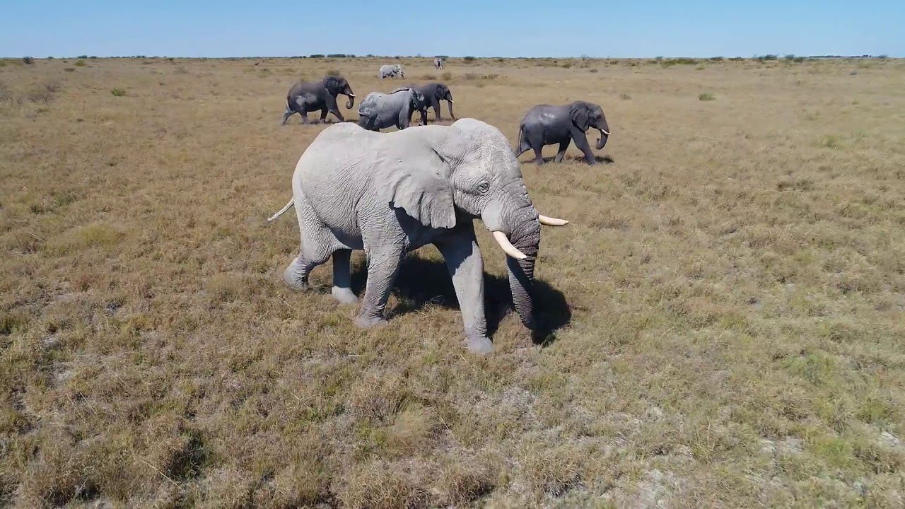 BOTSWANA TOURISM VIDEO