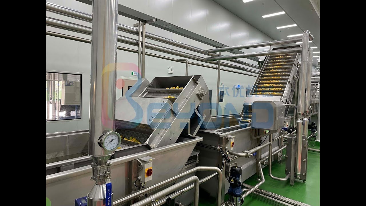 mango puree processing plant