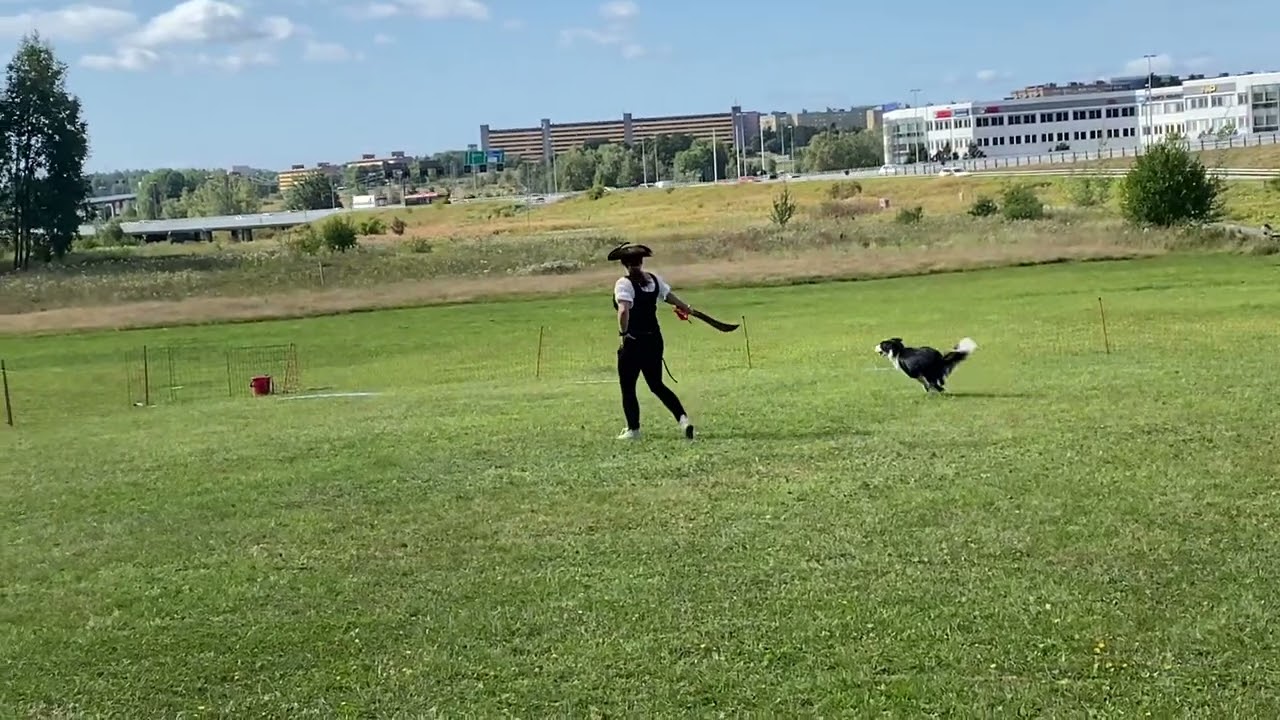 Freestyle klass 2 (dog dancing class 2 Sweden) Pirates of the Caribbean