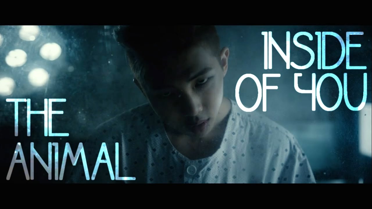 BTS FMV | ANIMAL