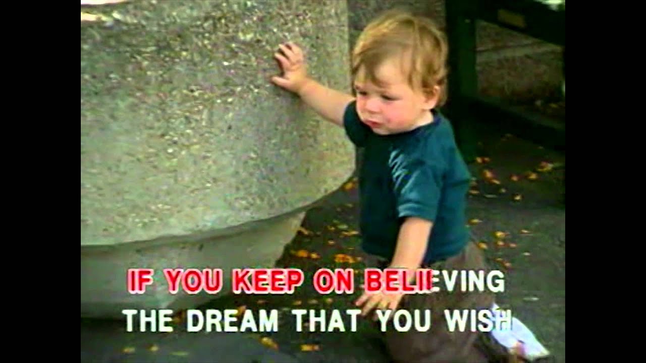 A Dream Is A Wish Your Heart Makes (cover)