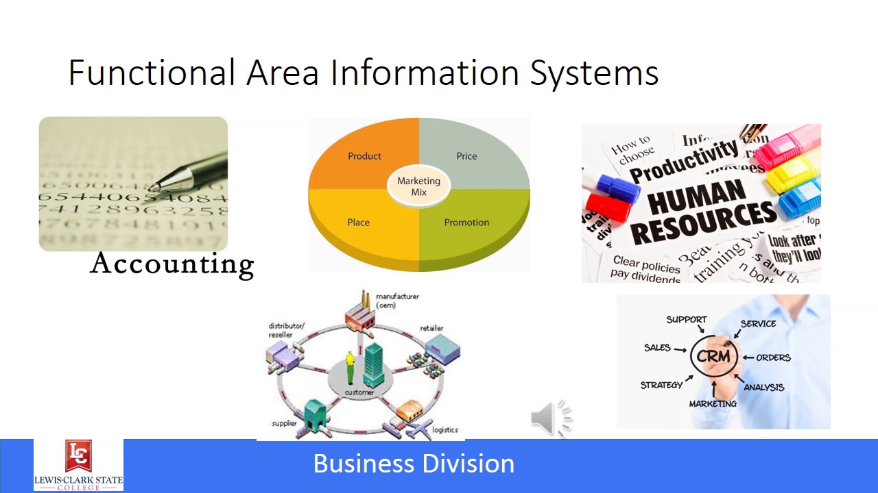 Management Information Systems: Functional Applications, Information Silos, and ERP