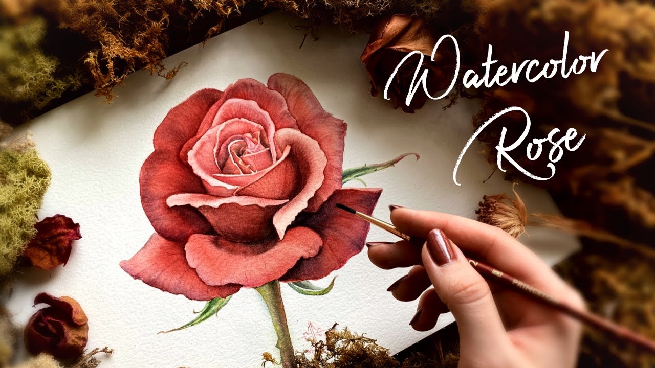 Painting veins on rose petals | Rose watercolor illustration | Botanical art painting process