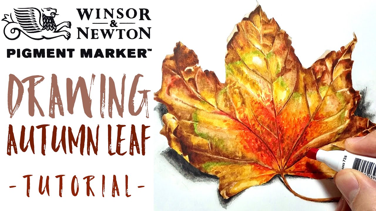 Winsor and Newton Pigment Markers tutorial - How to draw an Autumn Leaf