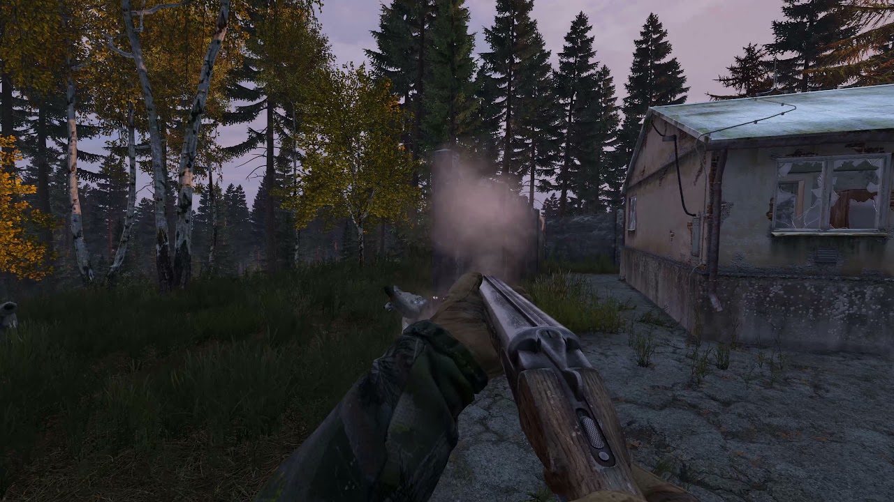 Why the Sawn-Off Shotgun? (DayZ)