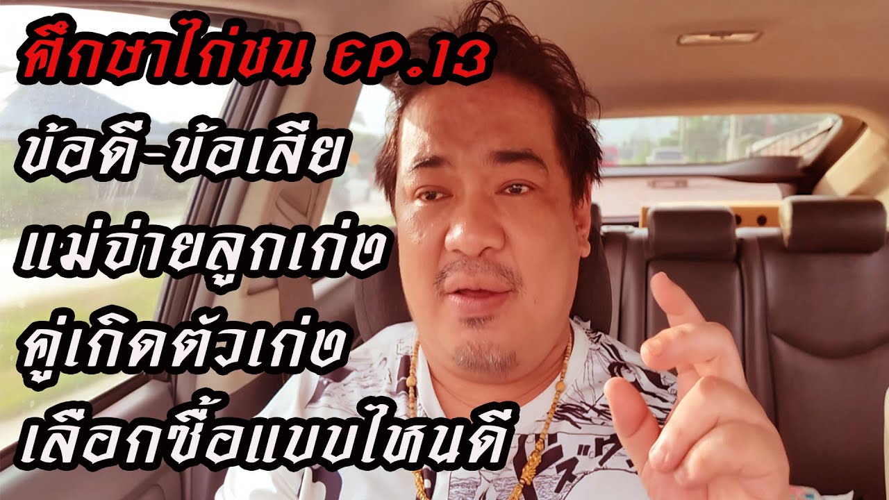 ศึกษาไก่ชนEP.13 ข้อดีข้อเสีย แม่ไก่จ่ายลูกเก่งVSคู่เกิดตัวเก่งจะเลือกซื้อแบบไหน