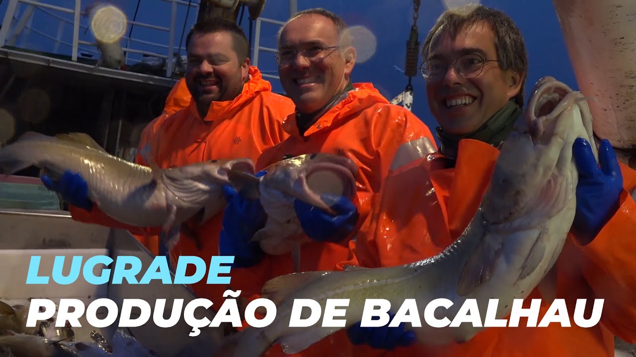 Lugrade  - Produção de Bacalhau em Portugal