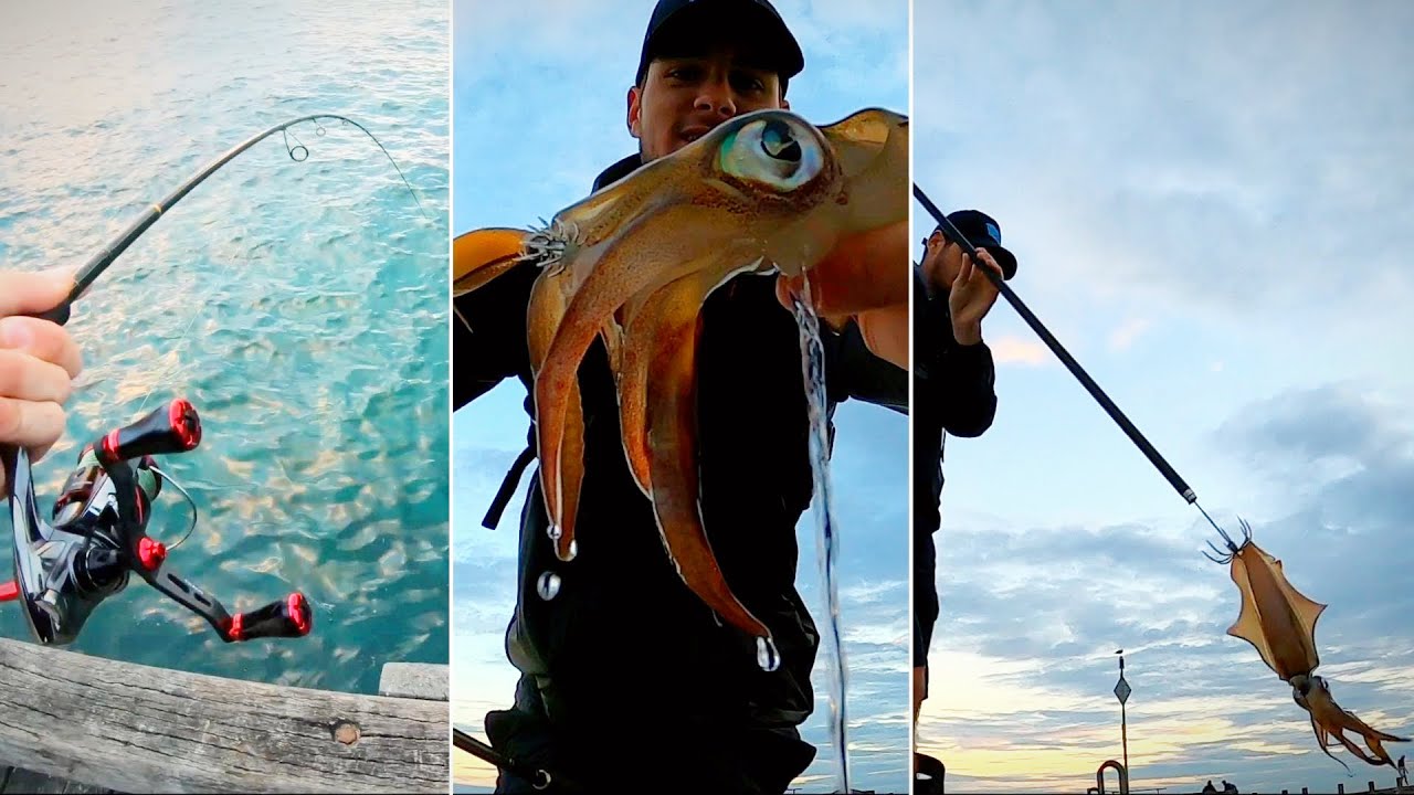 SQUID FISHING off the PIER!