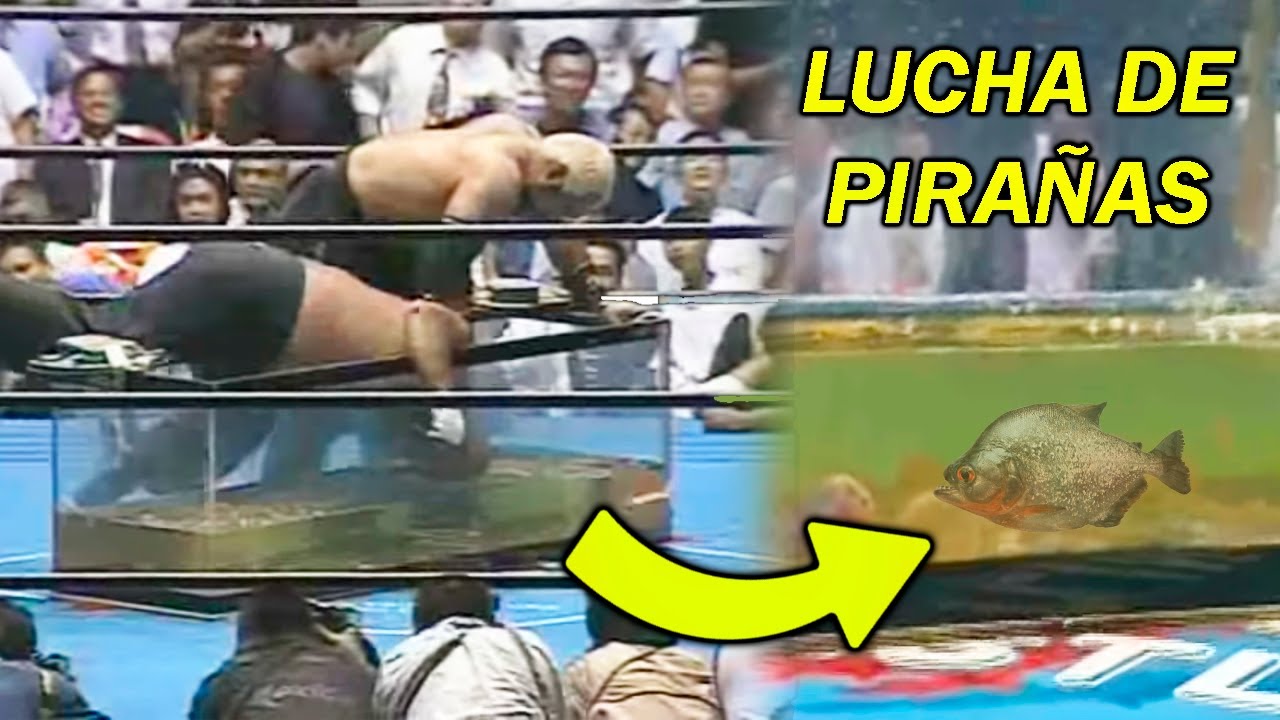8 ESTIPULACIONES DE LUCHAS QUE WWE JAMÁS HARÁ
