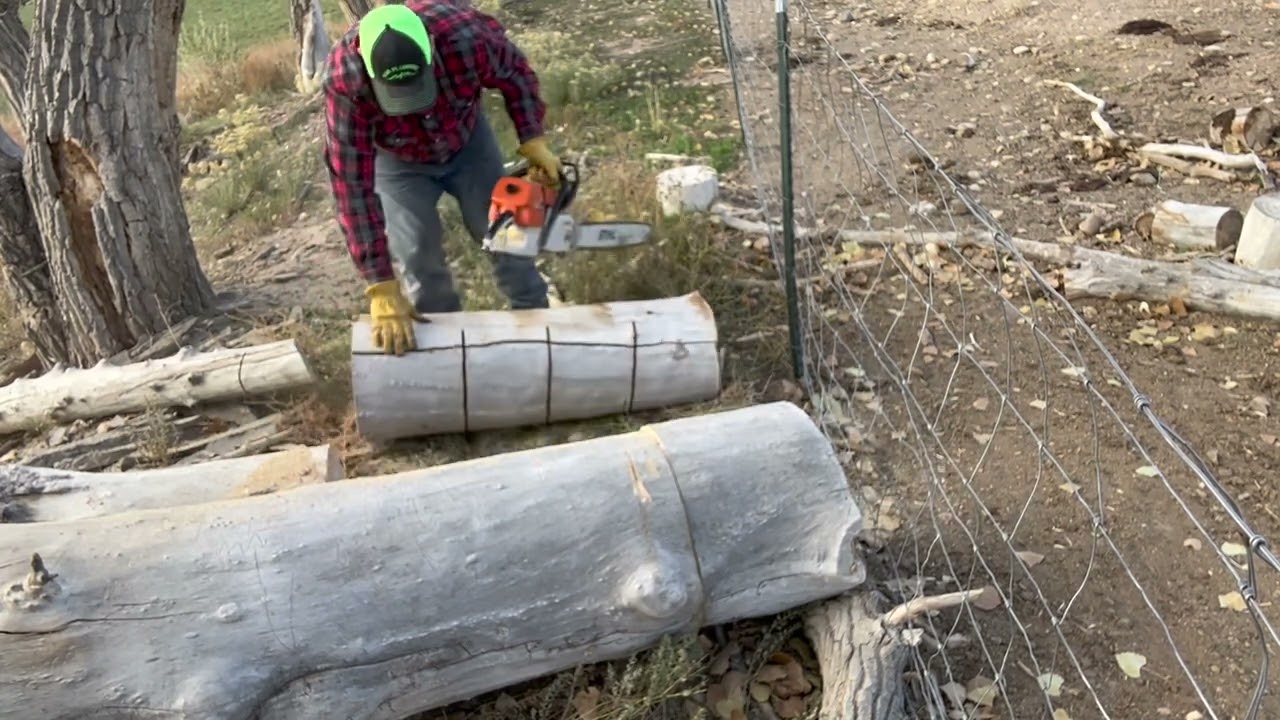 Stihl 066 chainsaw is a beast