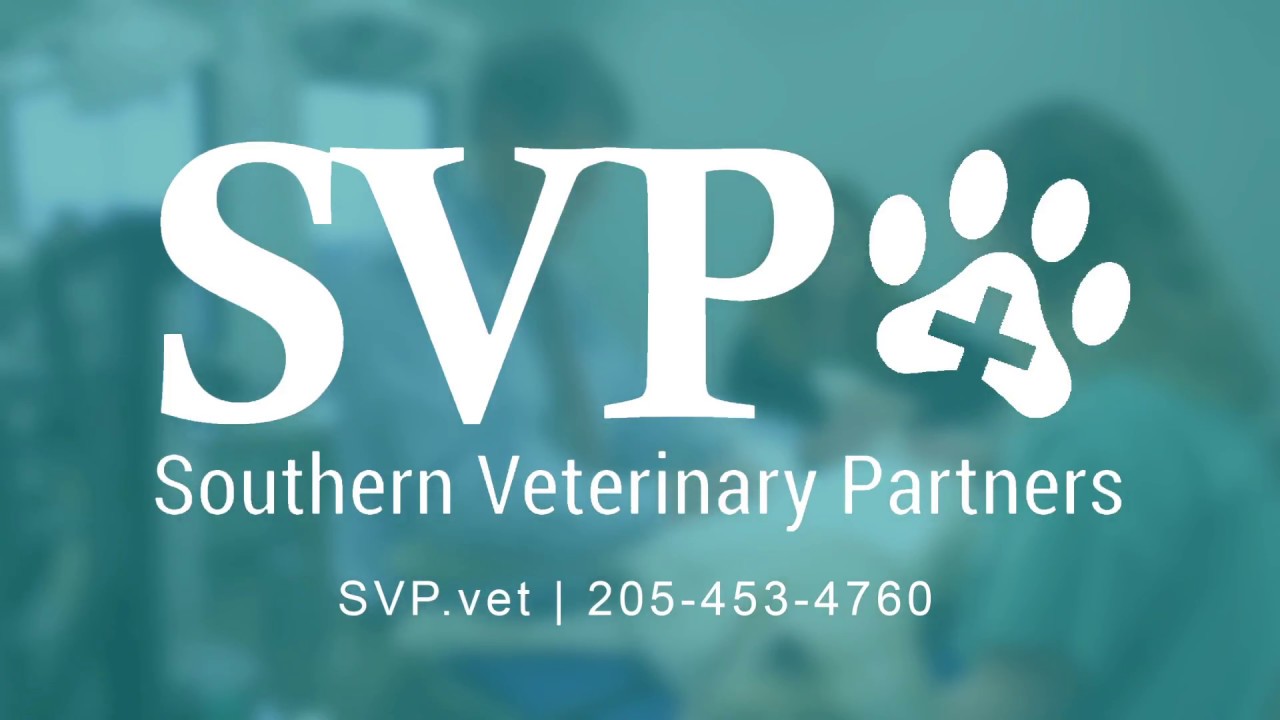 Why Join Southern Veterinary Partners