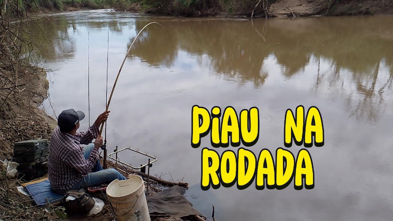 Prepare o coração Pescaria de piau na rodada