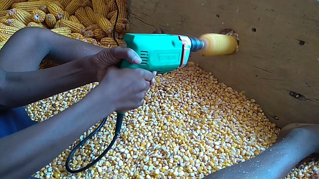 CORN SEEDS REMOVING 😎😎 IN EASIEST WAY