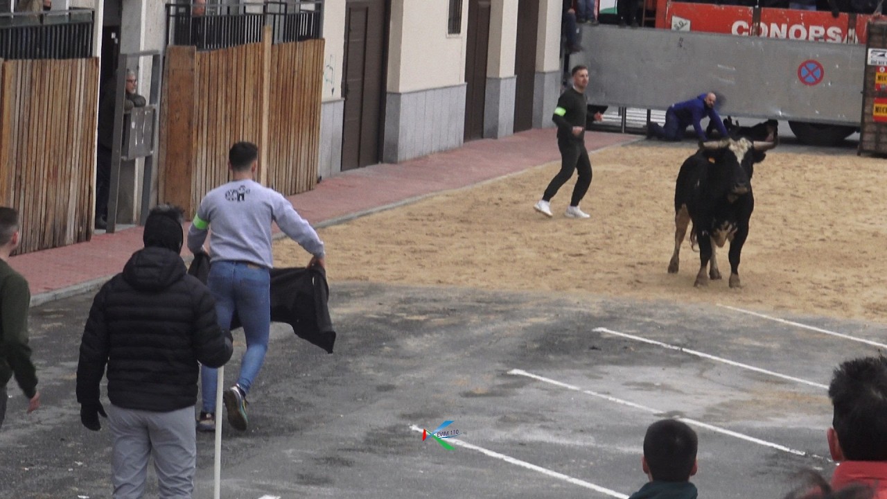Arevalo 2026 Toro de las Angustias