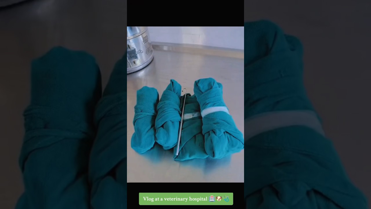 Vlog at a veterinary hospital 🏥 (prepare for #autoclave)