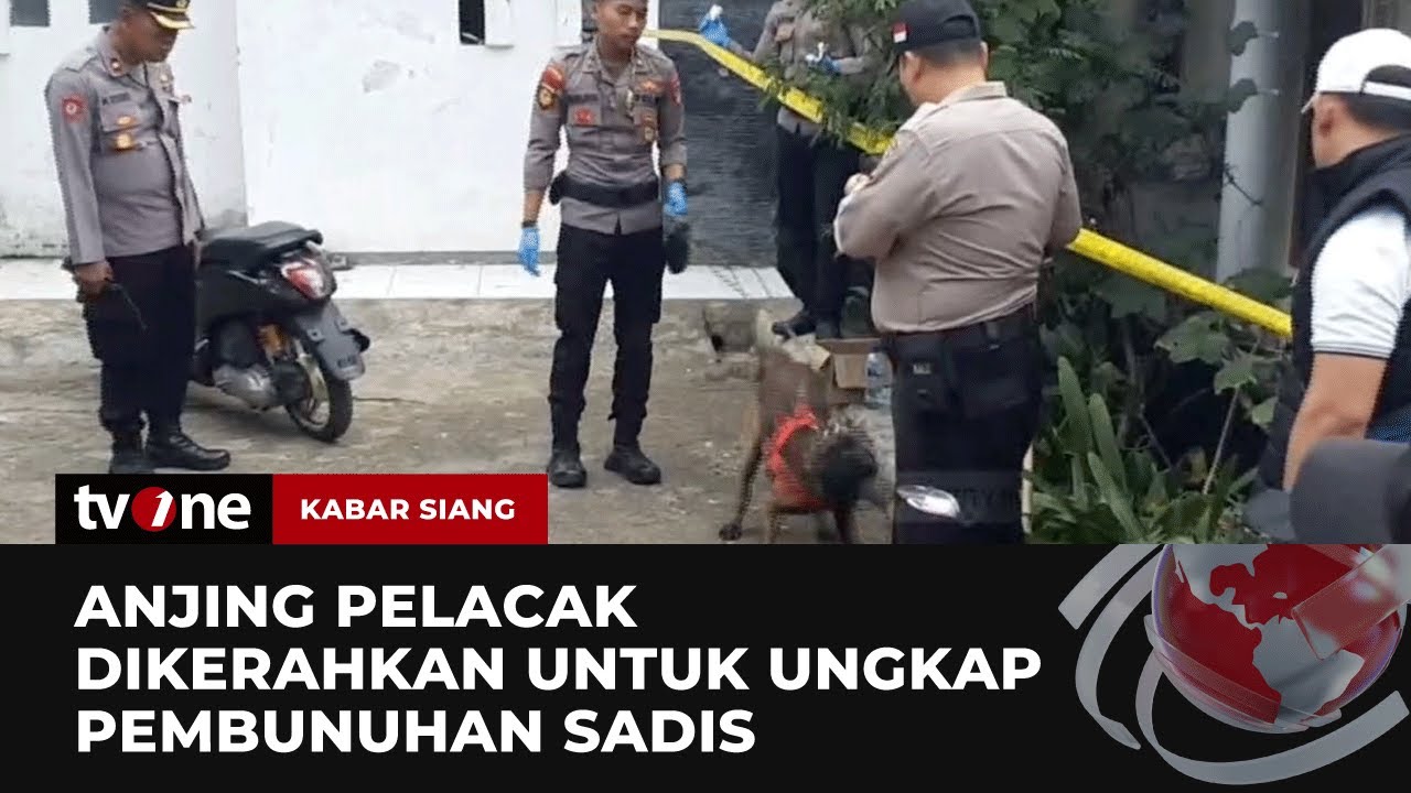 Polisi Menggunakan Anjing Pelacak Kejar Pelaku Pembunuhan Sadis di Garut | Kabar Siang tvOne