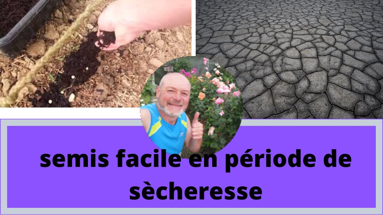 Une bonne technique de semis pour combattre la s&eacute;cheresse !