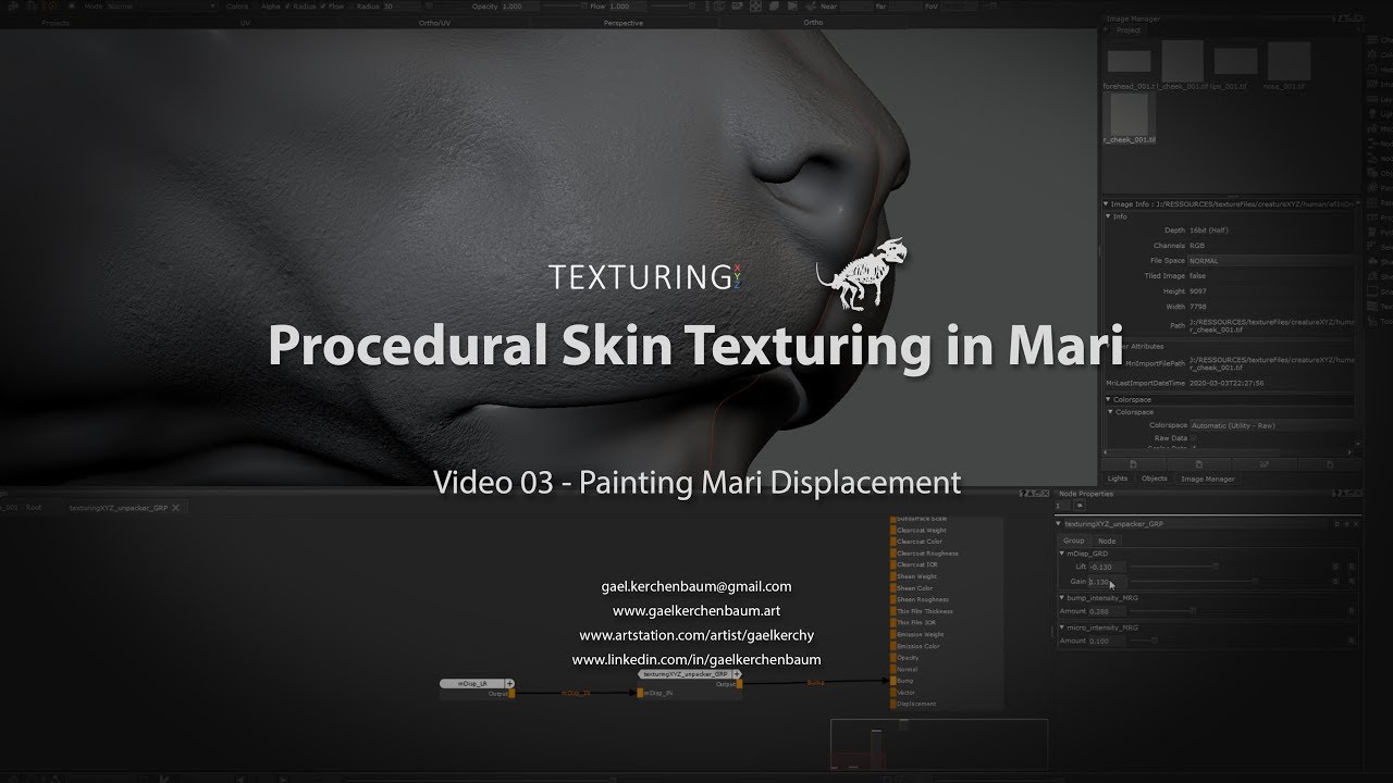 03 - How to texture skin in Mari - Painting displacement