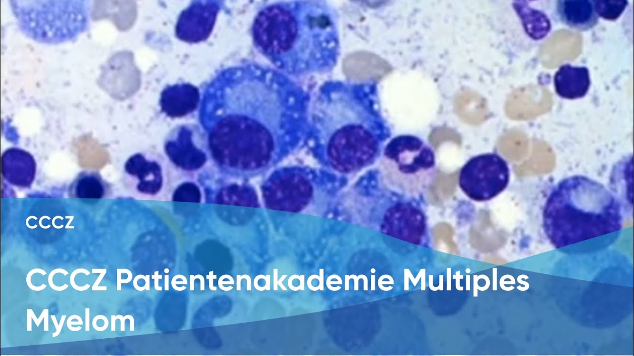 Patientenakademie Multiples Myelom
