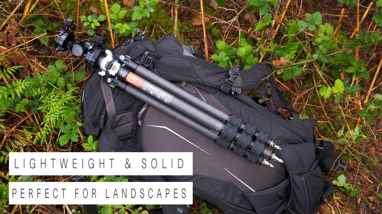 Using my NEW TRIPOD in the Woodland - Sunwayfoto Carbon Tripod