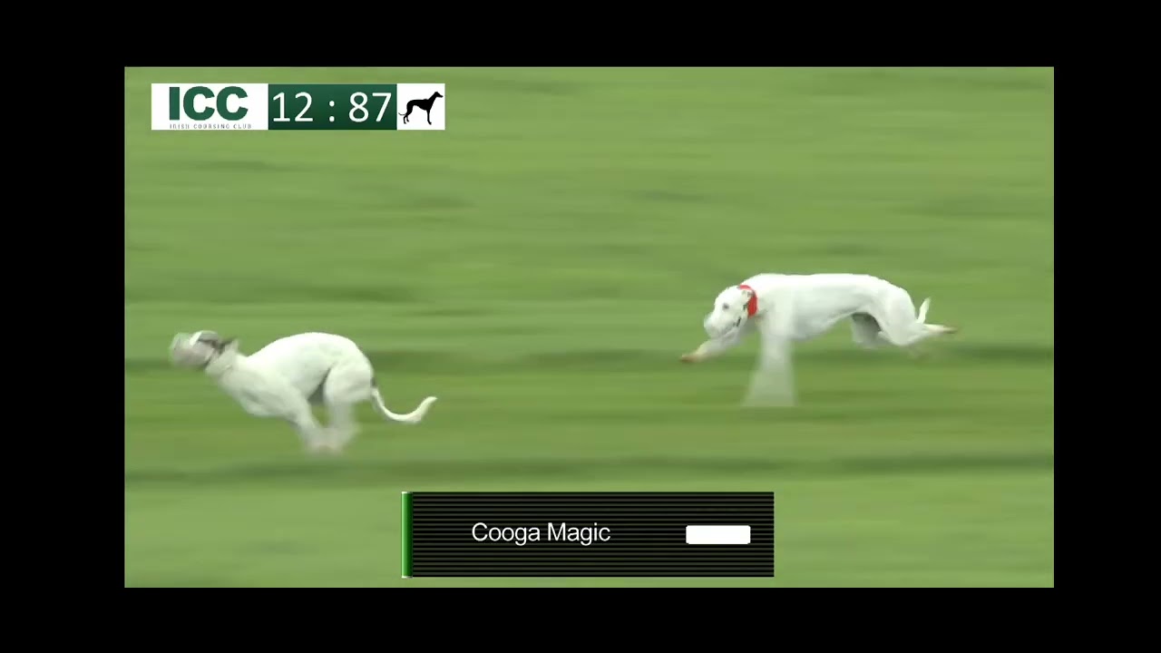 Cooga Magic Derby Semi final & final 2025