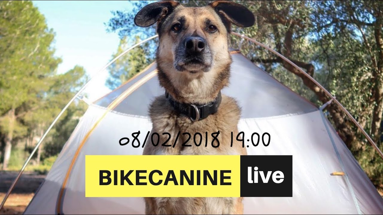 DIRECTO DESDE ALMER&Iacute;A | #HOLABIKECANINE LIVE