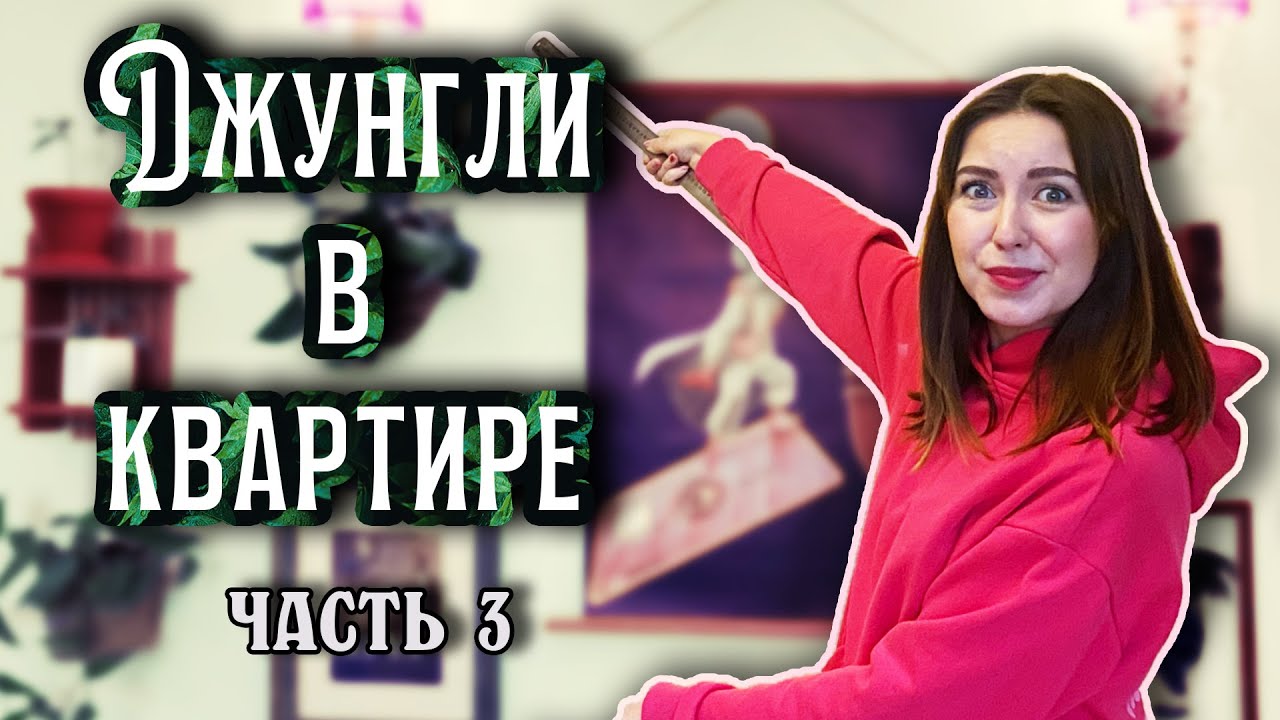 Джунгли в квартире: Про цветы, хаос и интерьер [часть 3]