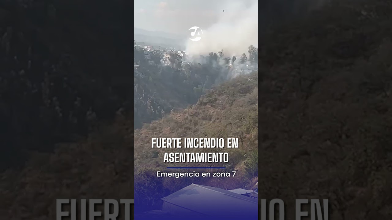 🚨🔥 INCENDIO EN ASENTAMIENTO BAJO EL PUENTE EL INCIENSO
