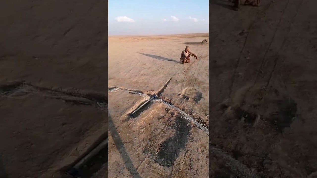 شرح عن صيد الصقور في النوجه بالتفصيل بتاريخ 2023/10/18