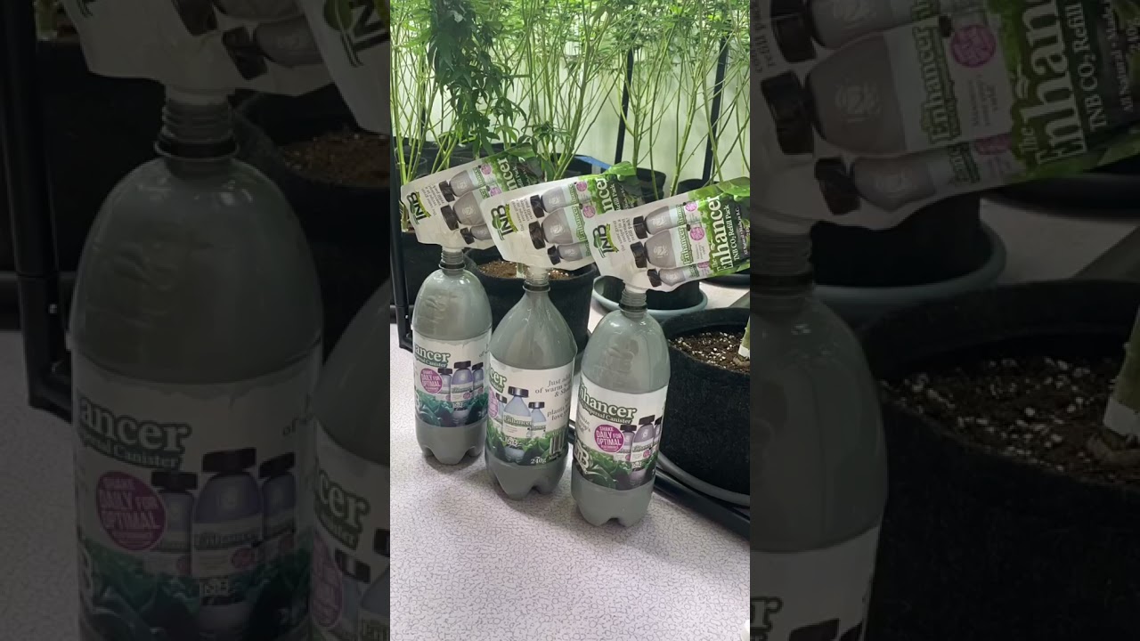 Tigerfish Organics - The Enhancer CO2 generator by TNB Naturals #tnbnaturals