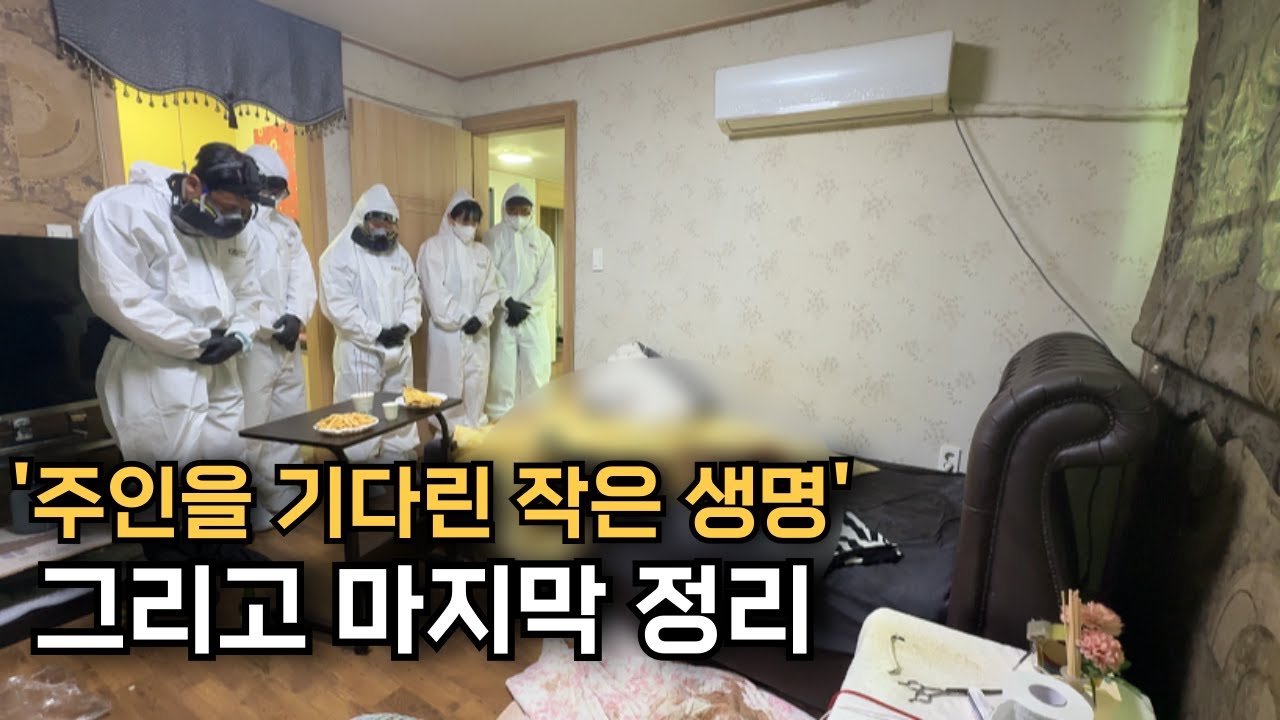 고독사 현장 청소와 구름이 구조 잊을 수 없는 그날의 이야기│열정의청년들