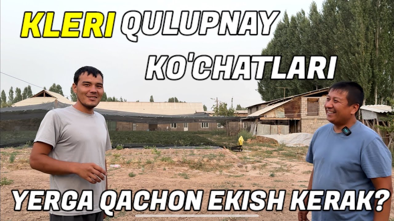 “Kleri Qulupnay – Siz Ham Boshlang! Dexqon Jamshid Akadan O‘rnakli Tajriba”