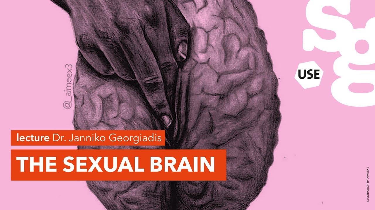 Watch online lecture | The sexual brain | Dr. Janniko Georgiadis