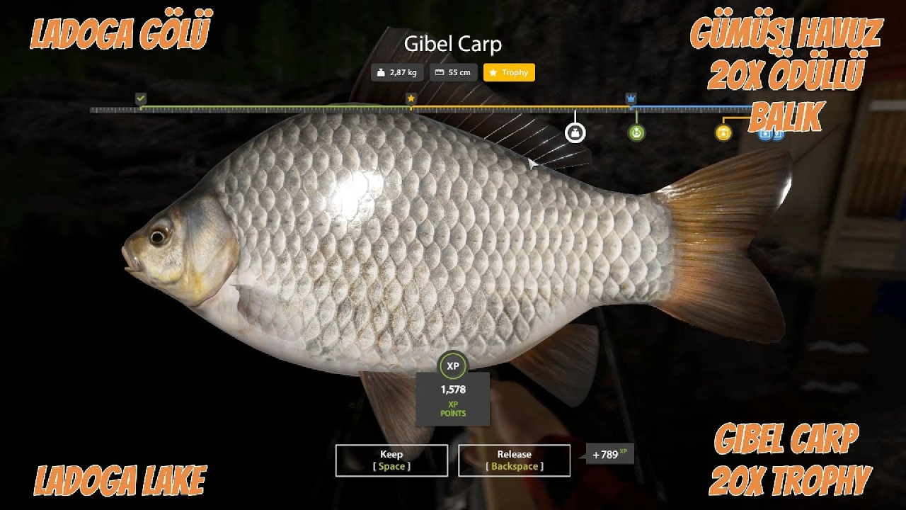 RF4 Ladoga Gölü 20 Ödüllü Gümüşi Havuz Balığı  | Russian Fishing 4 Ladoga Lake 20 Trophy Gibel Carp