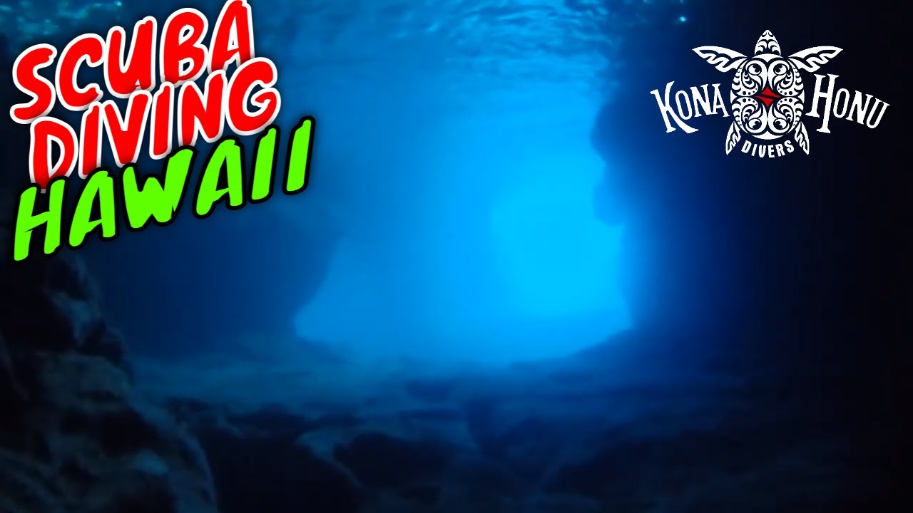 Kona Scuba Diving & Critter Hunting with Kona Honu Divers