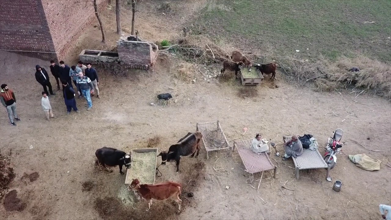 Homeland Salhoke Chattha, Pakistan