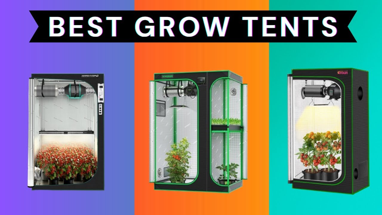Best Grow Tents 2025 [Watch This Before You Make a Choice!]
