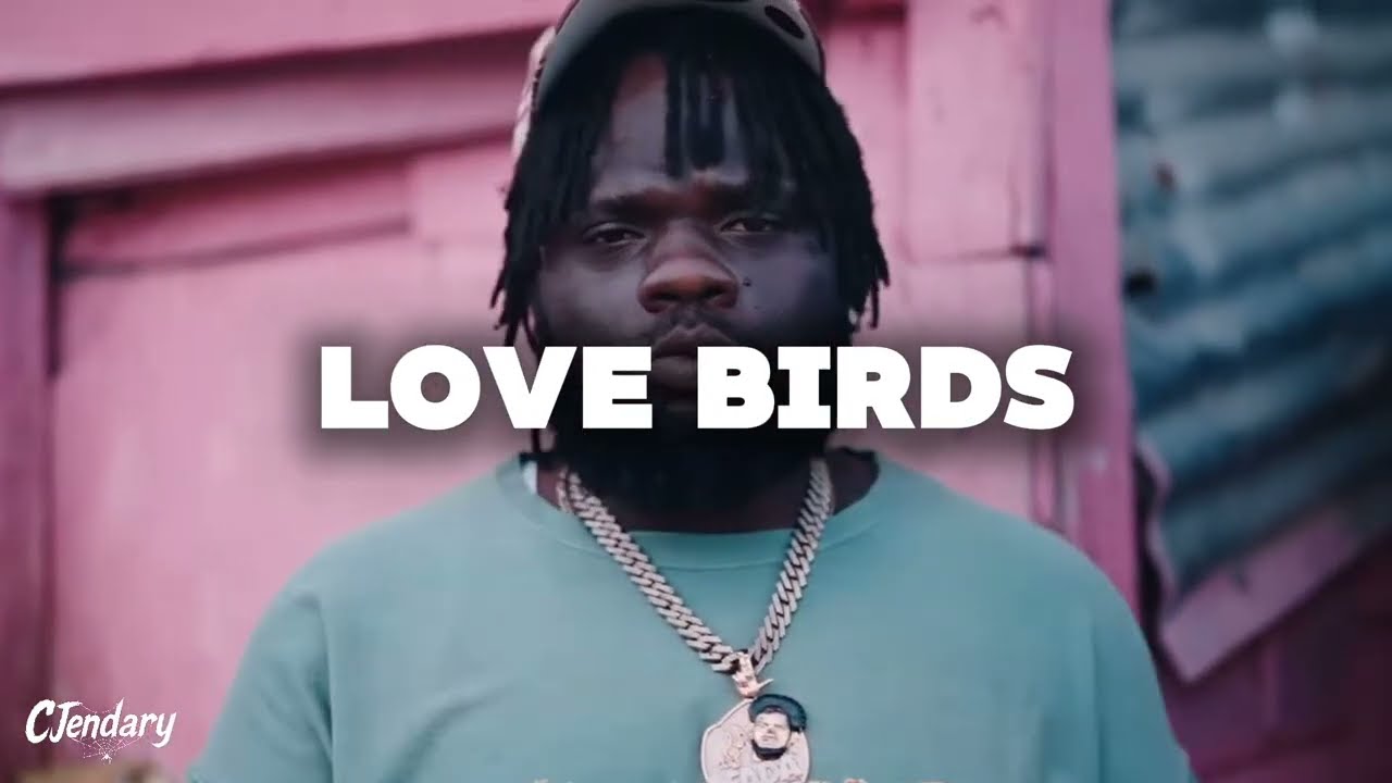 2026 Dancehall Instrumental - “LOVE BIRDS” Chronic Law Type Beat