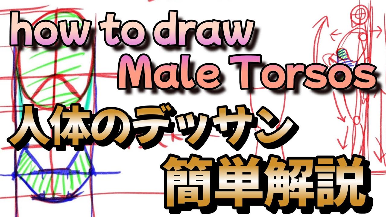 人体デッサンを簡単に理解しよう！【漫画の描き方講座】