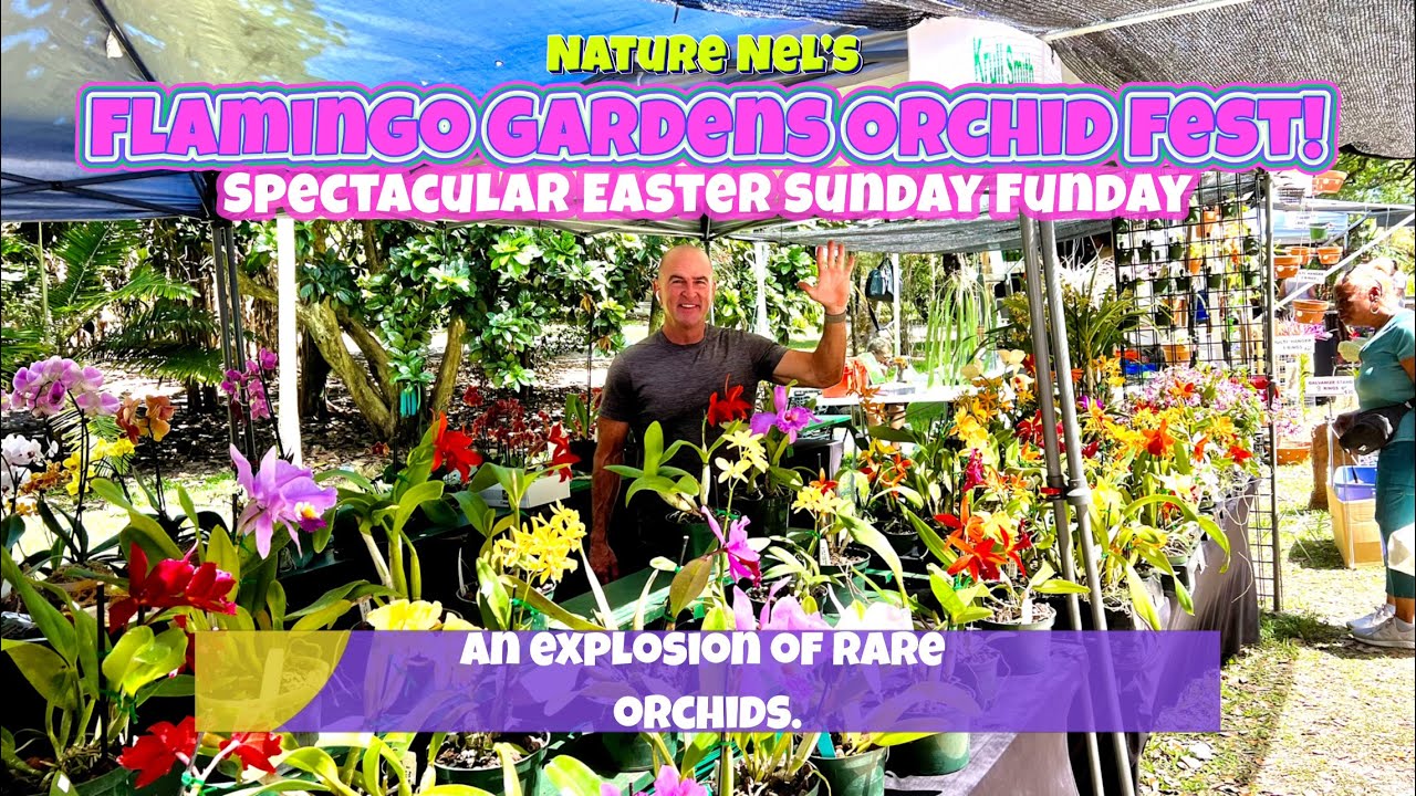 Flamingo Gardens Orchid Festival 2024. There are so many rare and unique orchids at this show. 🤩