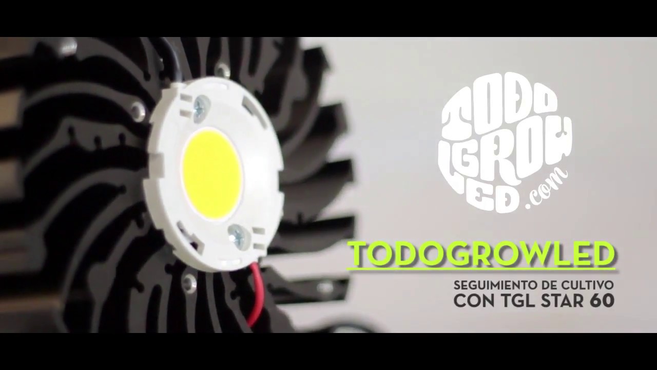 SEGUIMIENTO CULTIVO CON TODOGROWLED TGL STAR 60