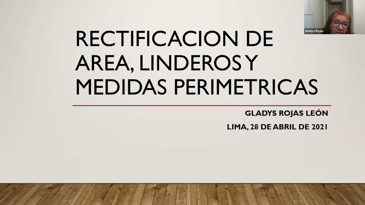 Rectificación de área, linderos y medidas perimétricas (28042021)