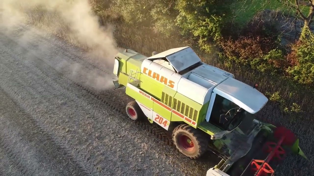 Soybeans Harvest | Claas Mega 204 | Azienda Agricola S.P. | Trebbiatura Soia 2024