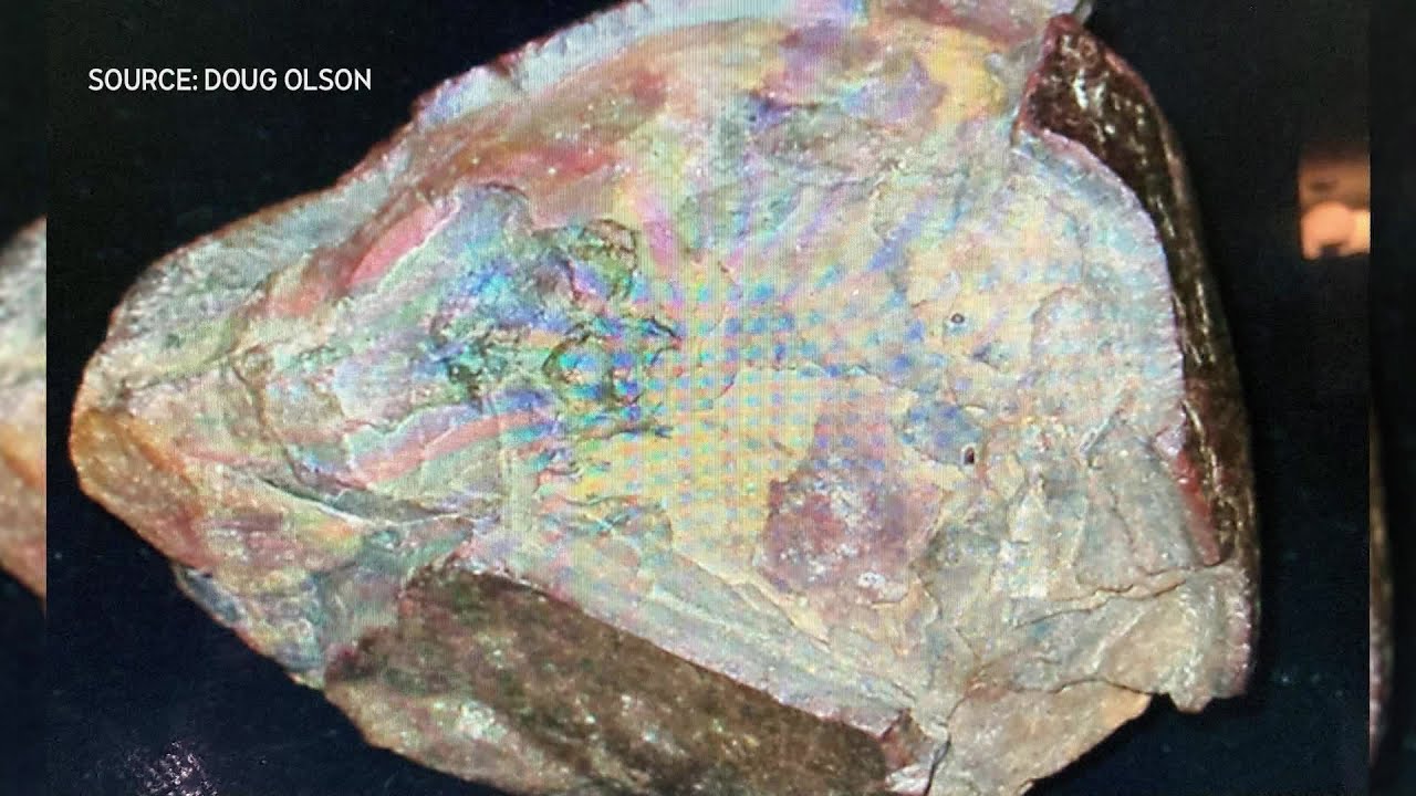 Alberta man finds rare meteorite on the roof of his home
