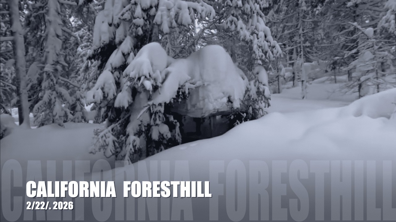 VLOG 862 [4K] USA. CA. FORESTHILL ЗАВАЛИЛО СНЕГОМ 2/22/ 2026
