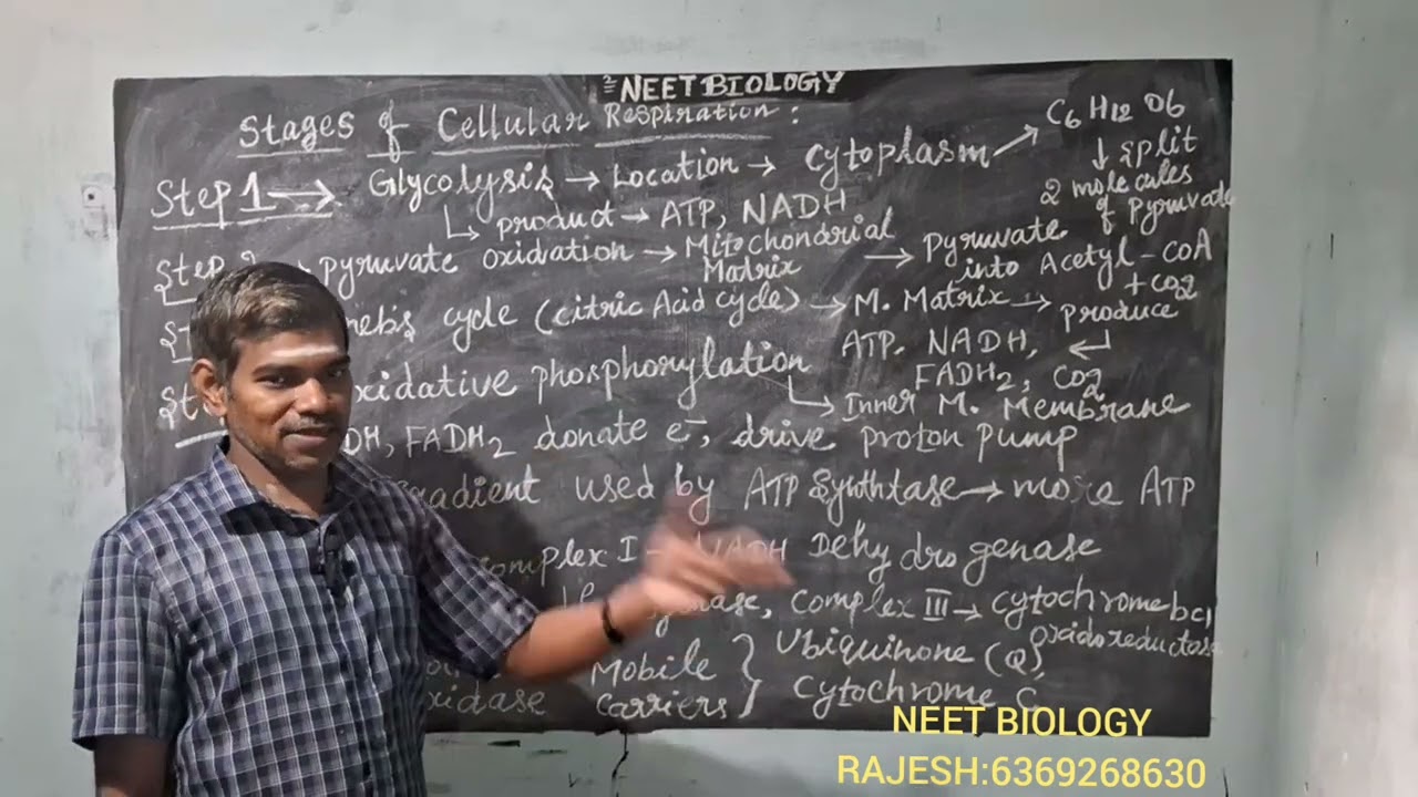 Cell Respiration#NEET#BIOLOGY#RAJESH#Tamil Version