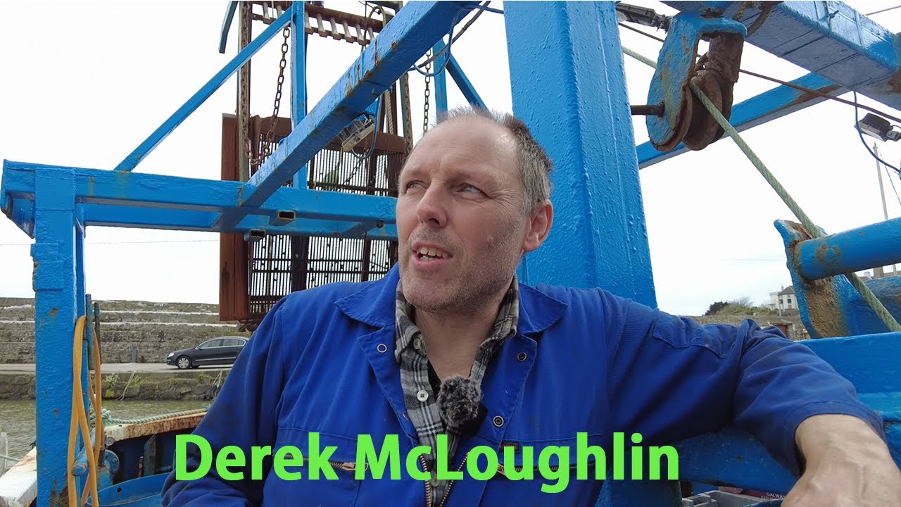 Balbriggan harbour  The making of a Politician