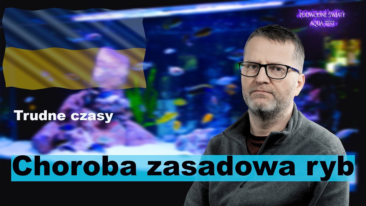 Choroba zasadowa ryb akwariowych