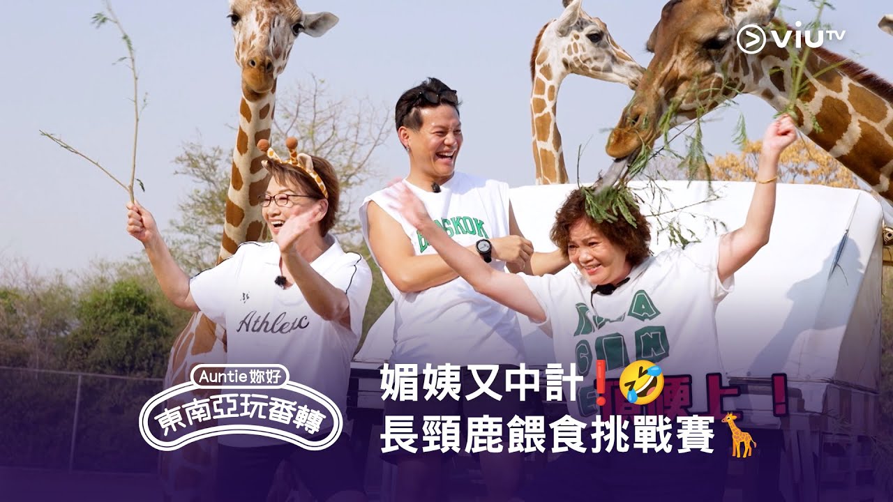 媚姨又中計❗️🤣  重溫《Auntie 妳好東南亞玩番轉》長頸鹿餵食挑戰賽🦒